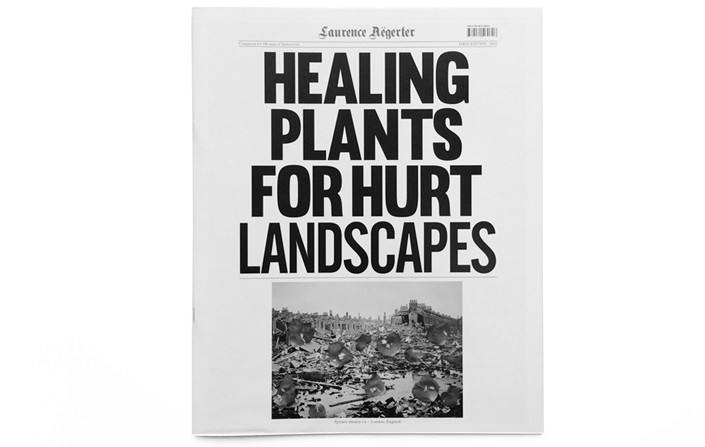 Healing Plants for Hurt Landscapes Healing Plants for Hurt Landscapes